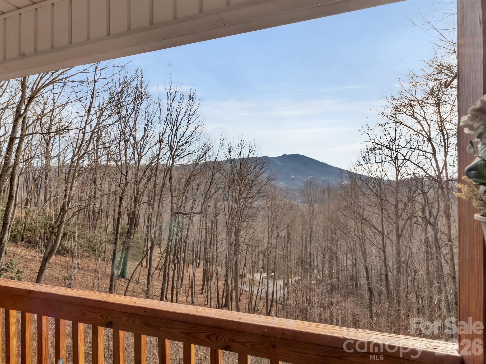 371 Falcon Ridge Drive Waynesville NC 28786