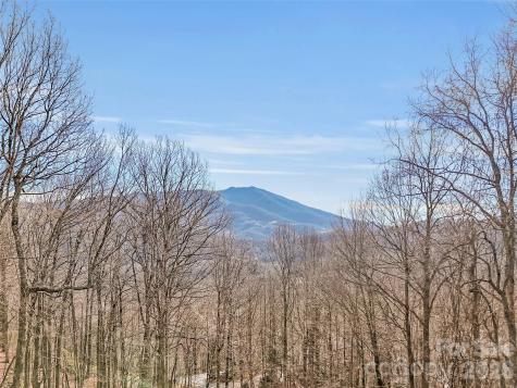 371 Falcon Ridge Drive Waynesville NC 28786