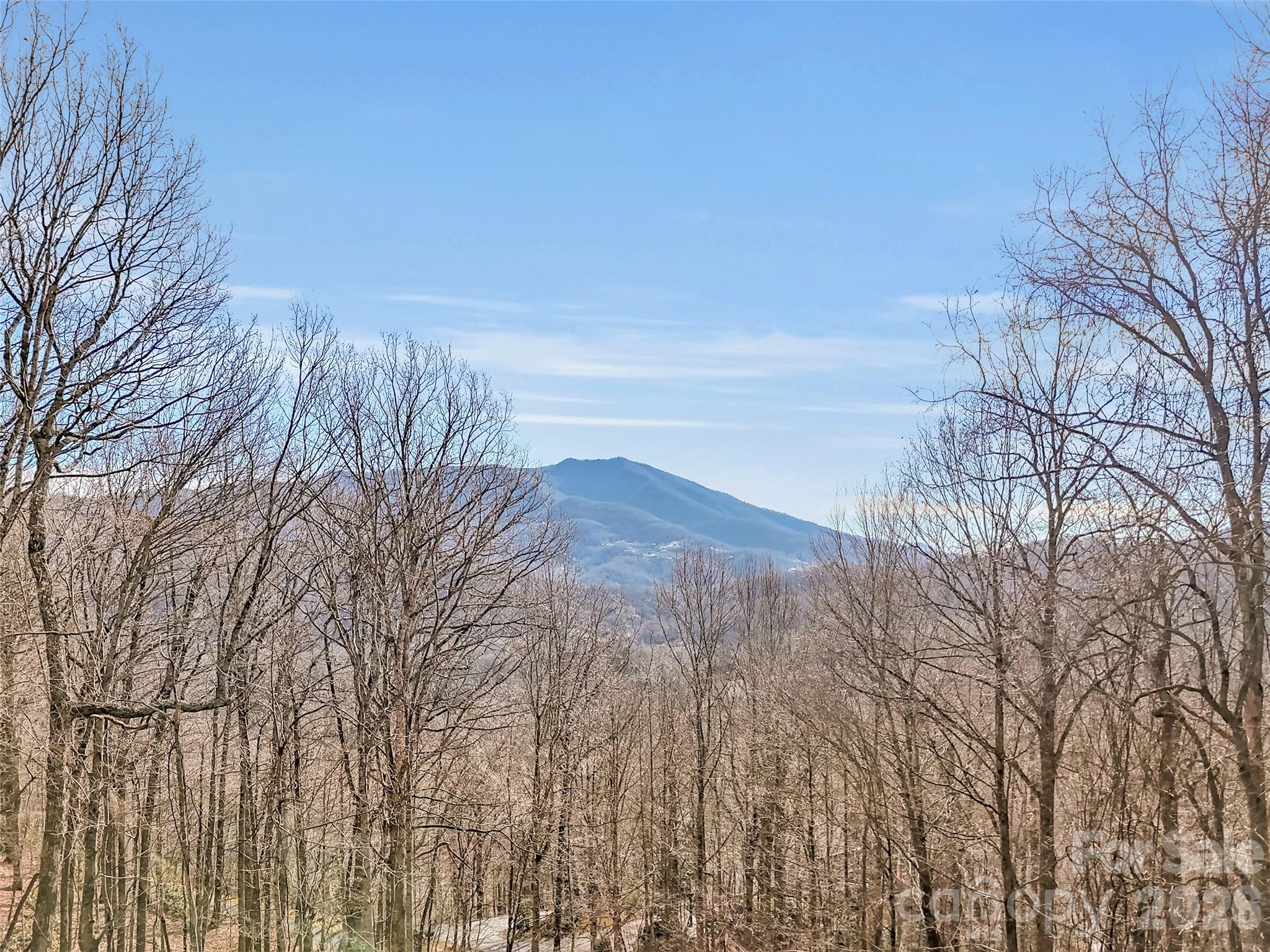 371 Falcon Ridge Drive Waynesville NC 28786