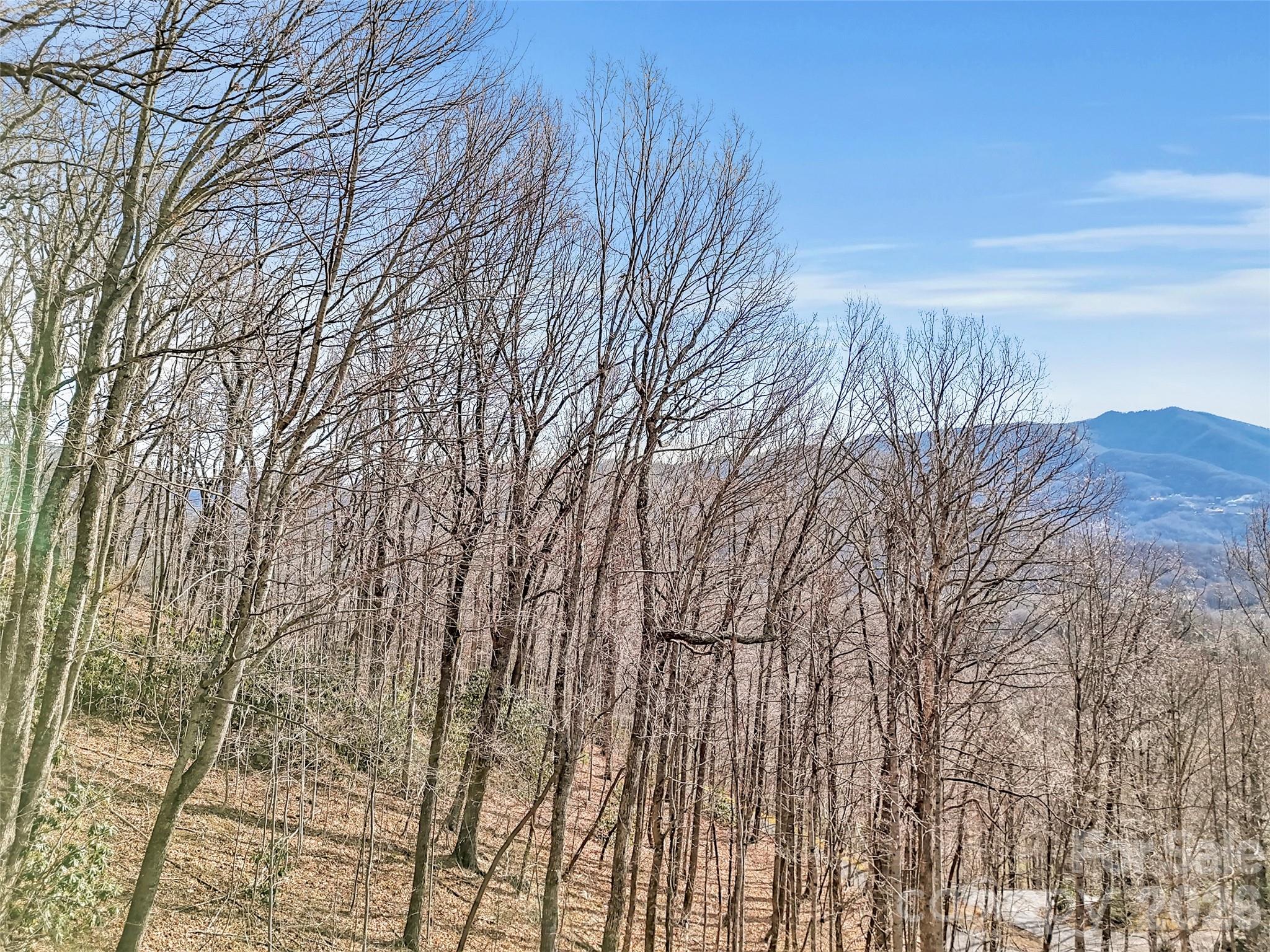 371 Falcon Ridge Drive Waynesville NC 28786
