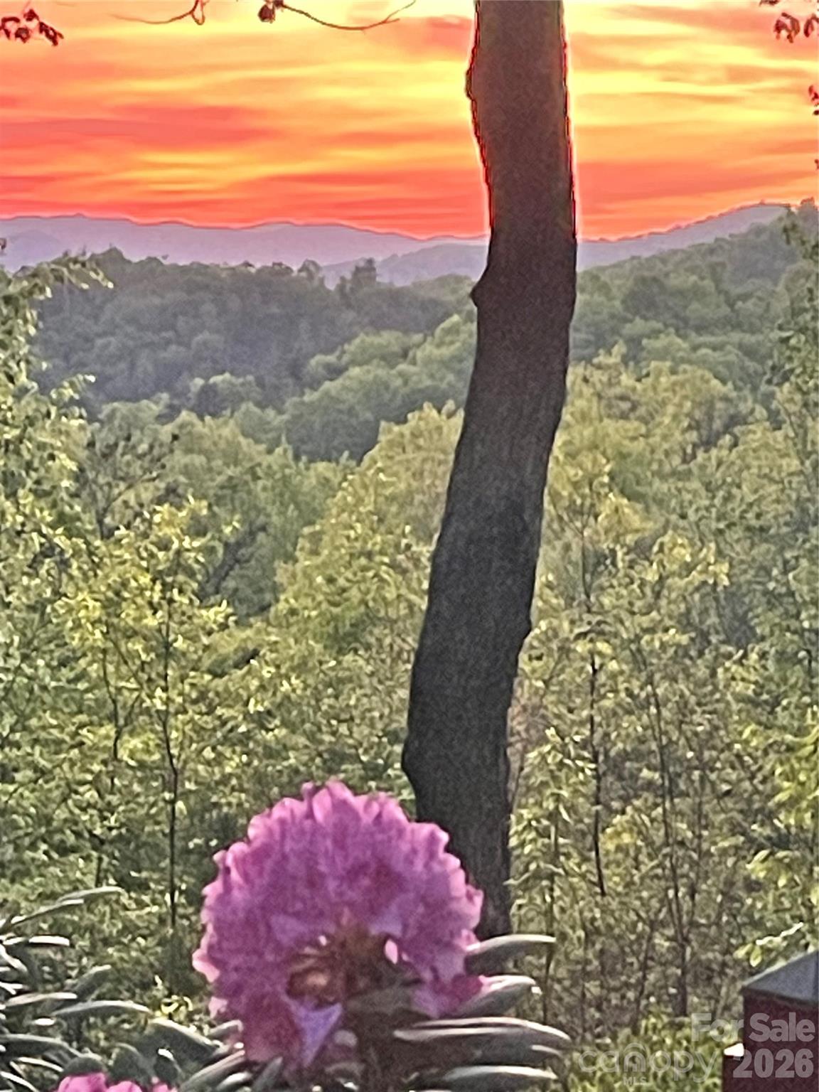 80 Corbin Hills Drive Franklin NC 28734