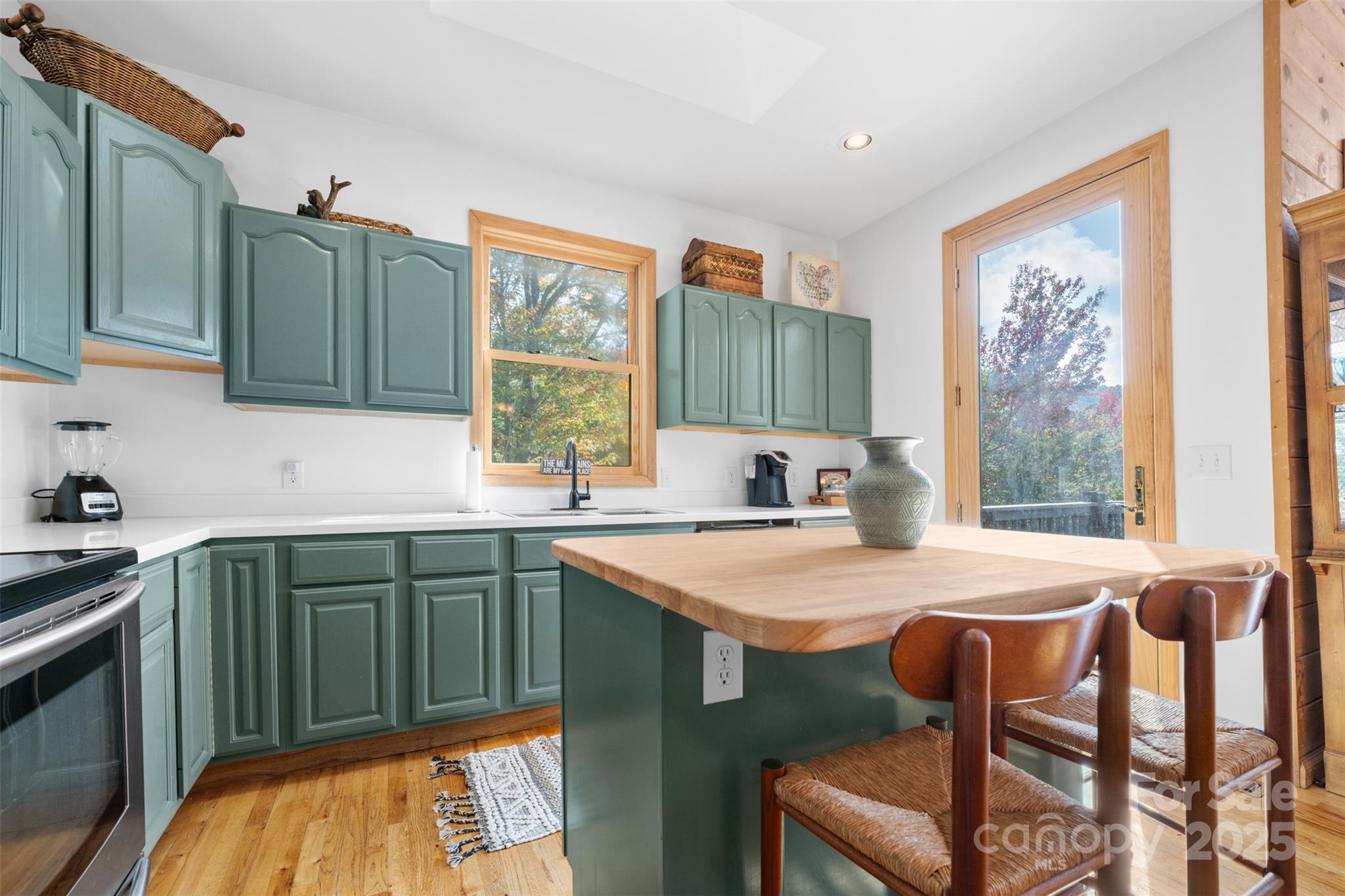 127 Mill Pond Lane Beech Mountain NC 28604