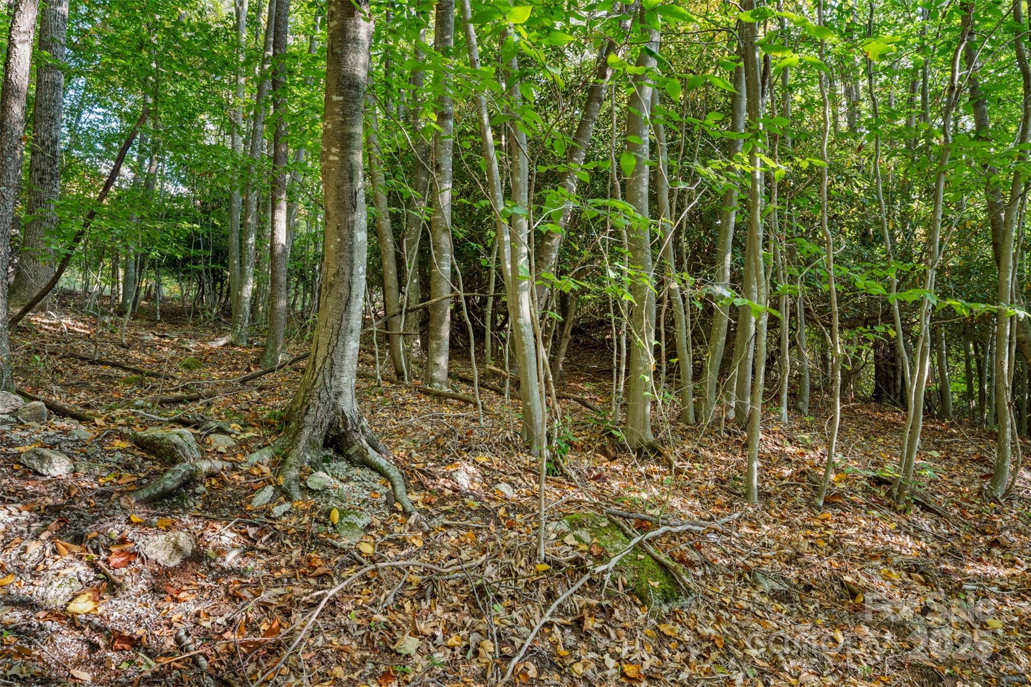 127 Mill Pond Lane Beech Mountain NC 28604