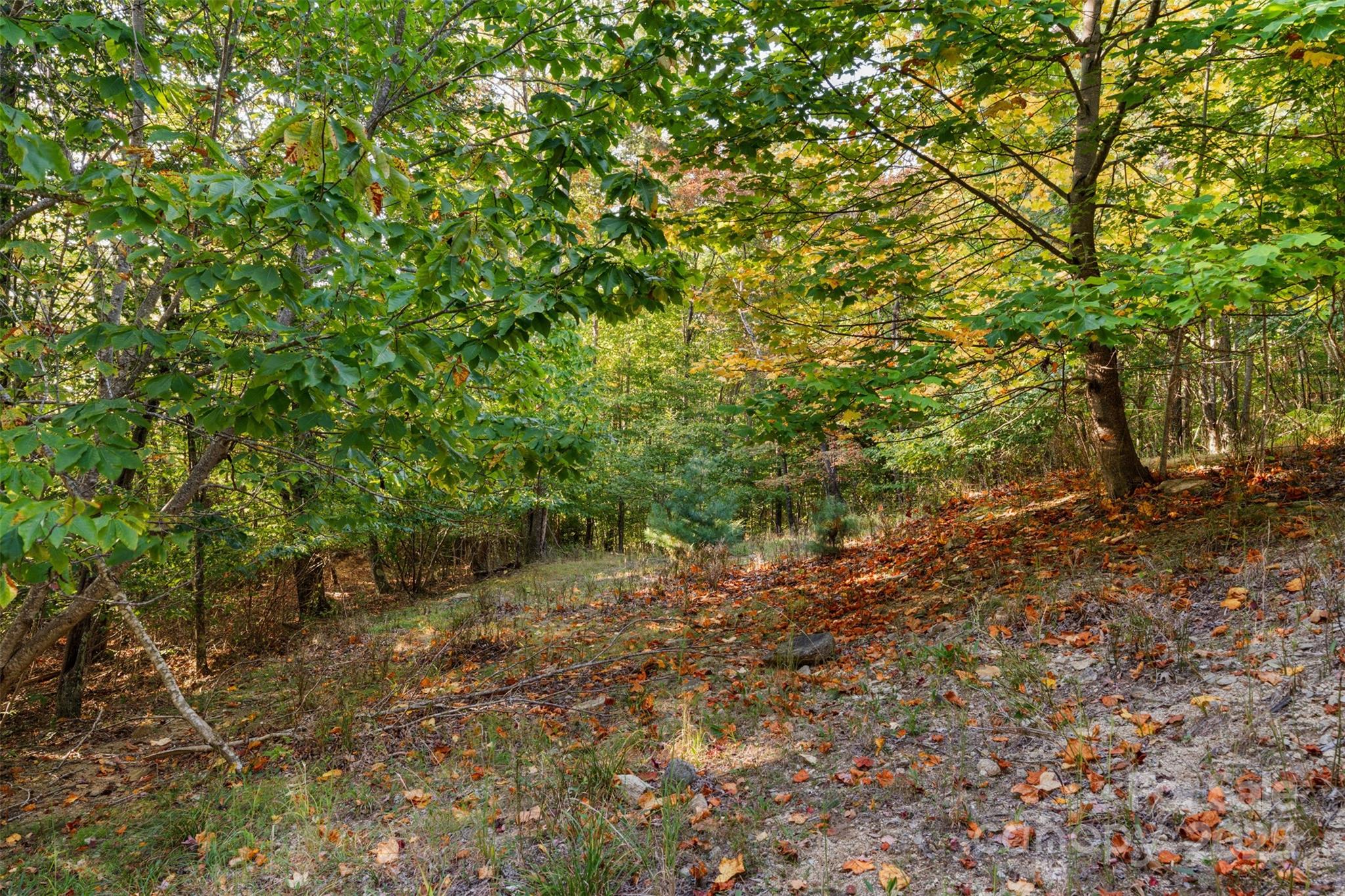 127 Mill Pond Lane Beech Mountain NC 28604