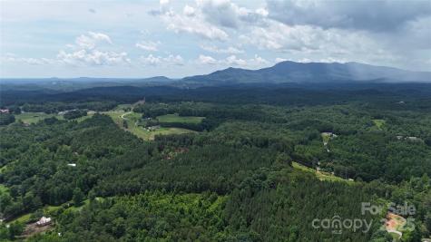 221 Flat Branch Trail Mill Spring NC 28756