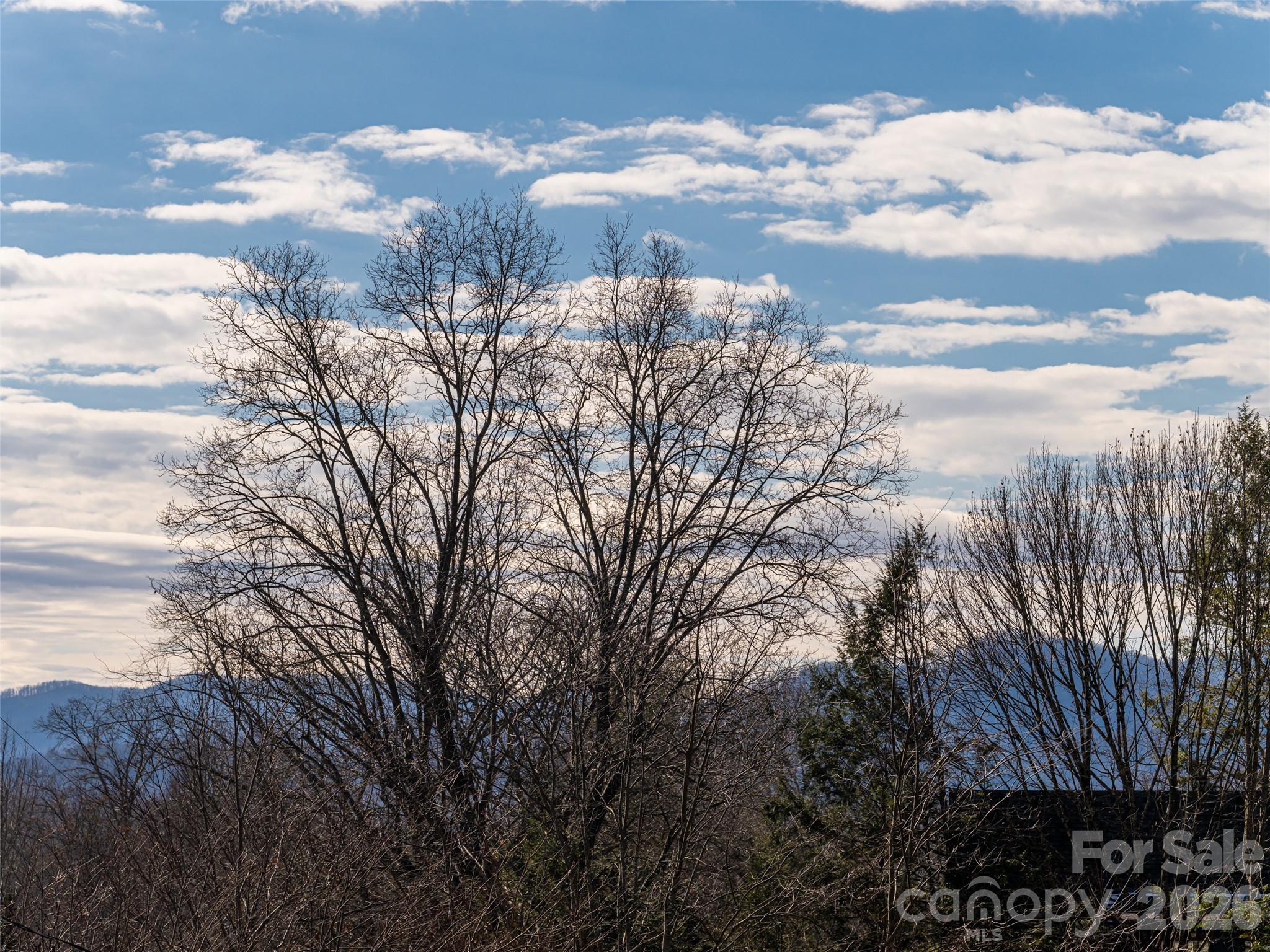 89 Vance Crescent Extension Asheville NC 28806