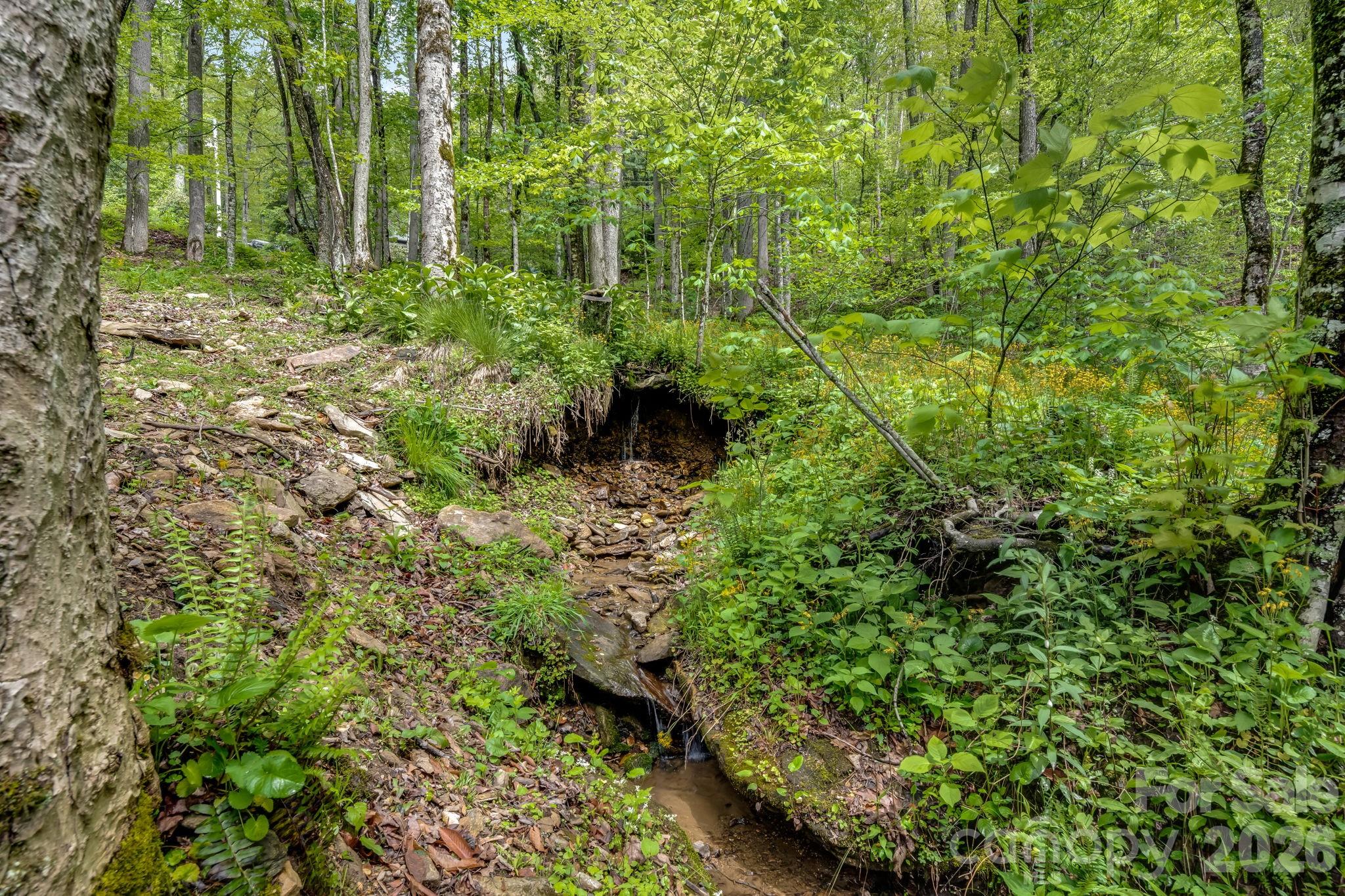 17 Greer Way Mars Hill NC 28754