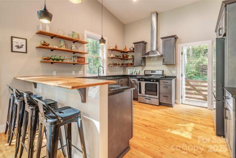 42 Salola Street Asheville NC 28806