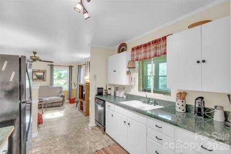 3605 Skyuka Mountain Road Columbus NC 28722