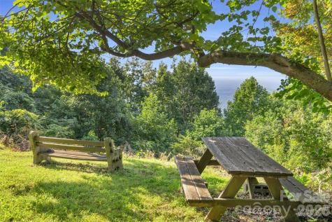 3605 Skyuka Mountain Road Columbus NC 28722