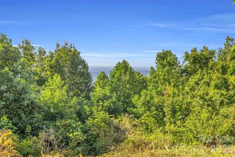 3605 Skyuka Mountain Road Columbus NC 28722