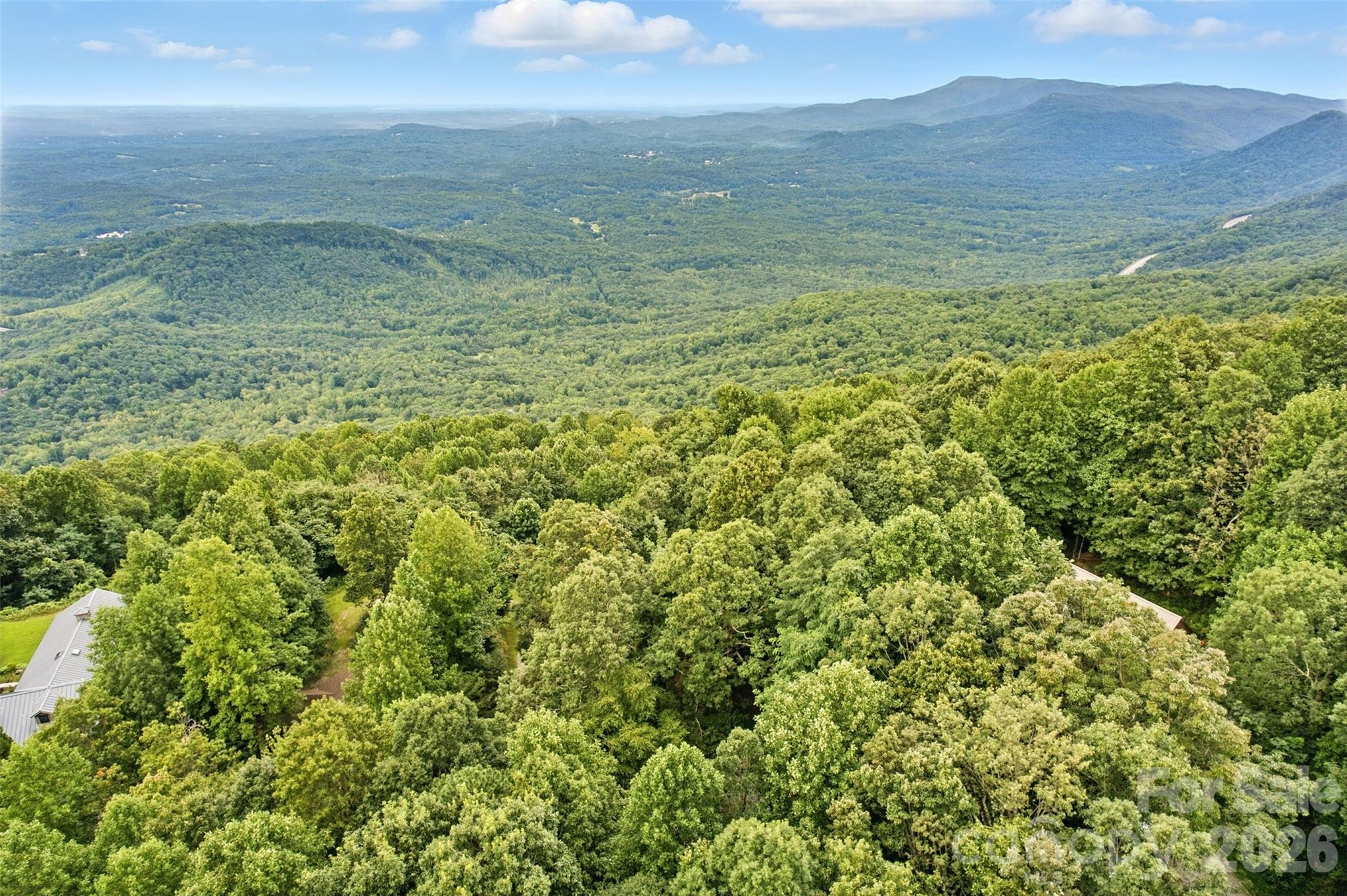 3605 Skyuka Mountain Road Columbus NC 28722