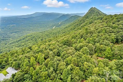 3605 Skyuka Mountain Road Columbus NC 28722