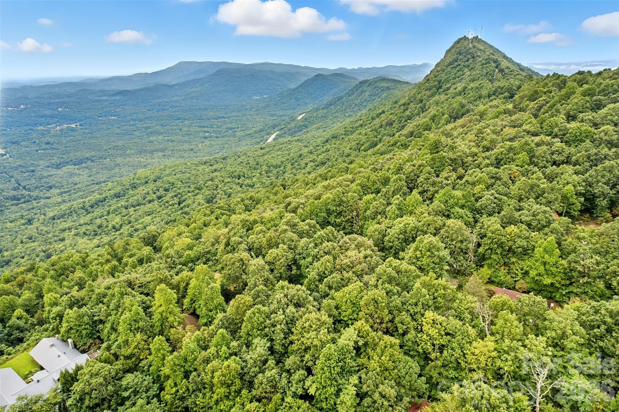 3605 Skyuka Mountain Road Columbus NC 28722