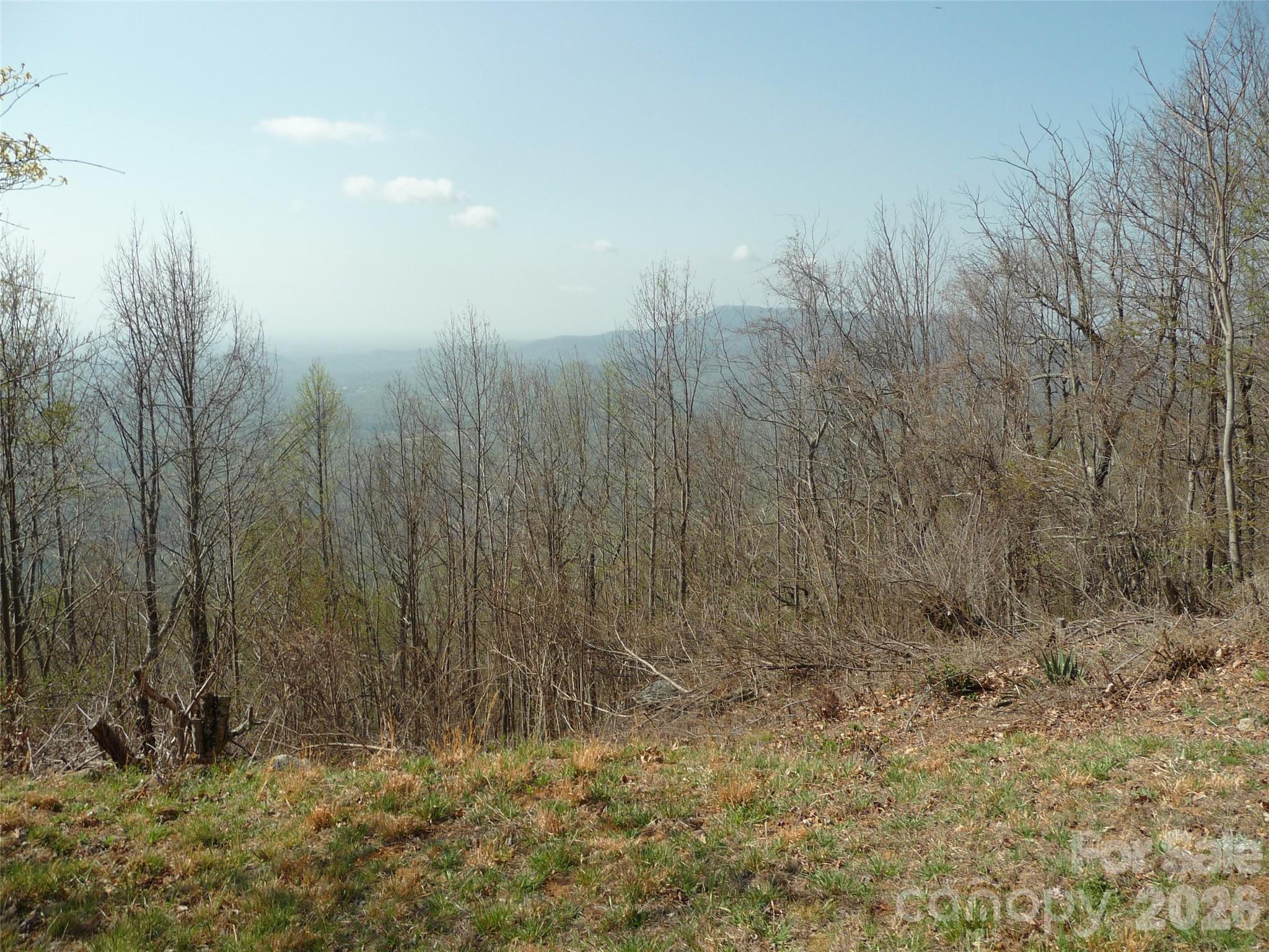 3605 Skyuka Mountain Road Columbus NC 28722