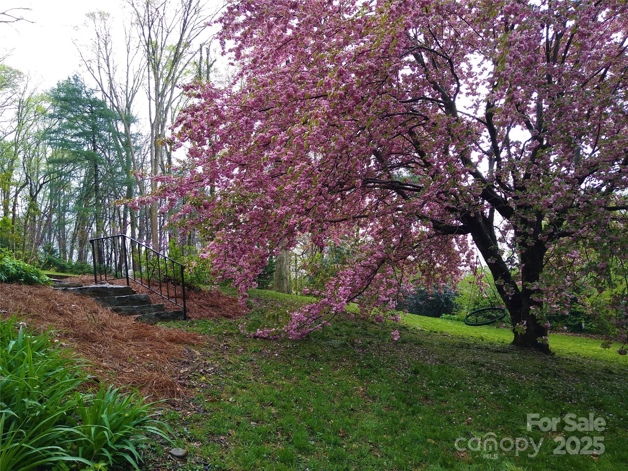 242 Birch Lane Arden NC 28704