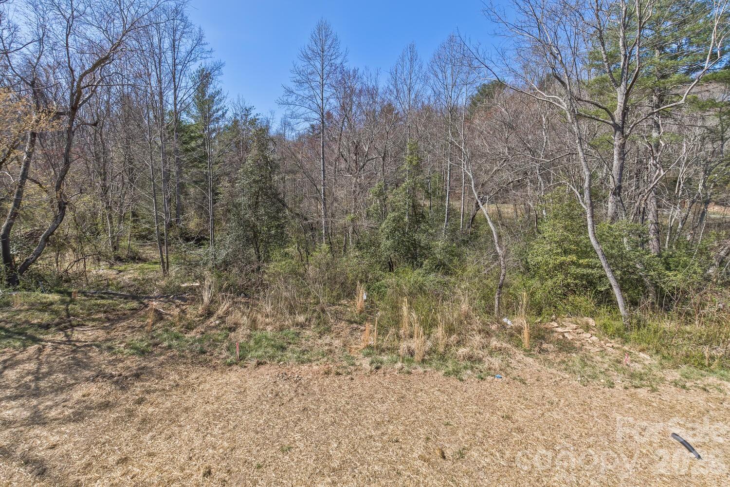 233 Edgewood Road S Asheville NC 28803