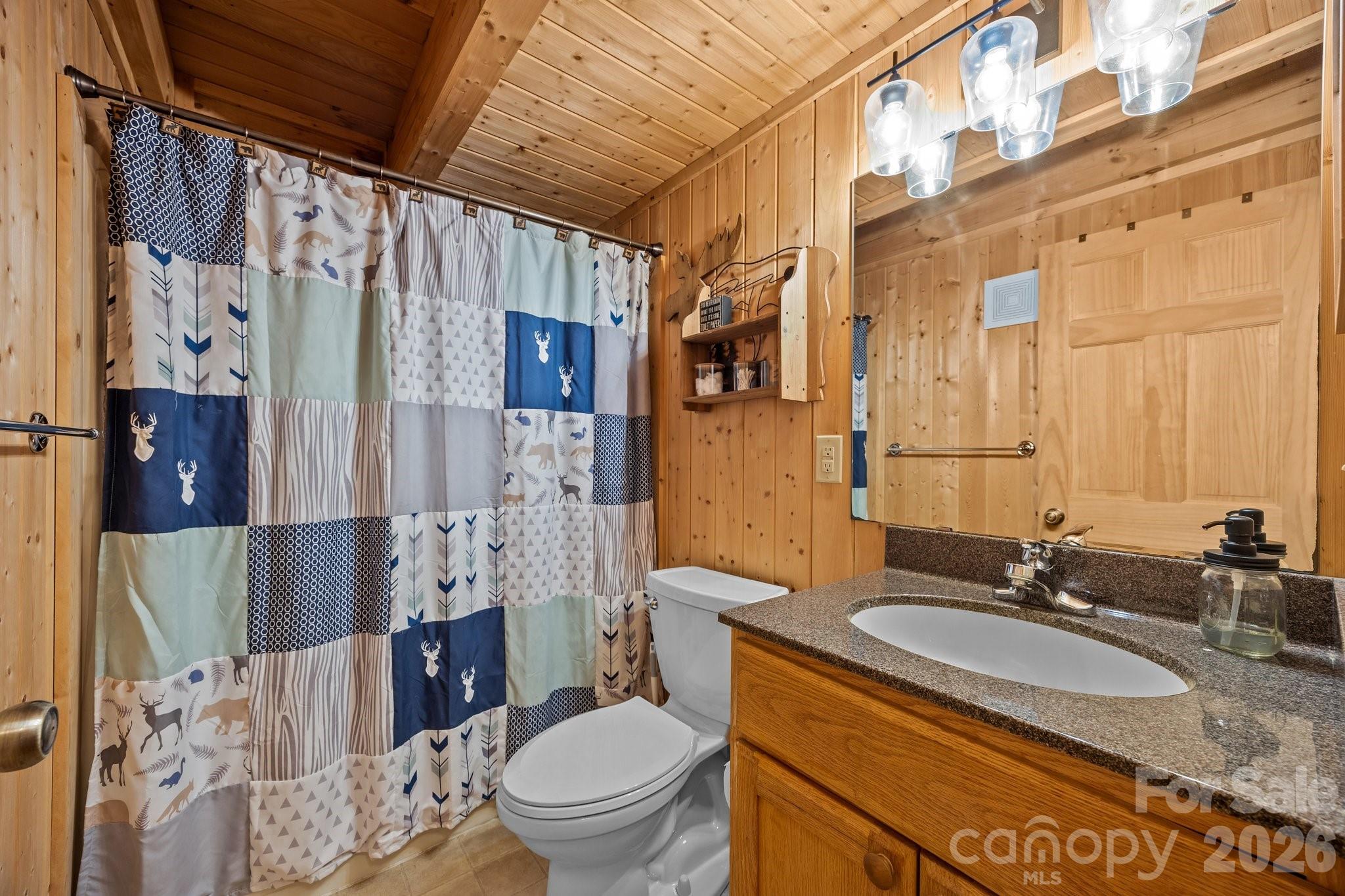 173 Mistletoe Park Lake Lure NC 28746