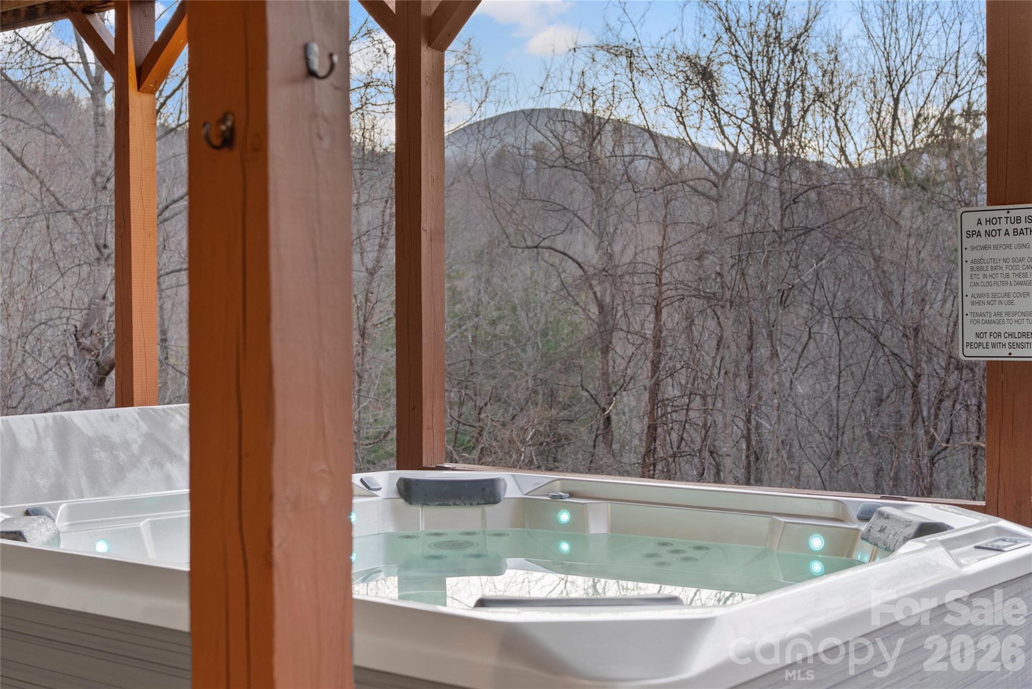 173 Mistletoe Park Lake Lure NC 28746