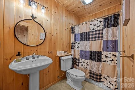 173 Mistletoe Park Lake Lure NC 28746