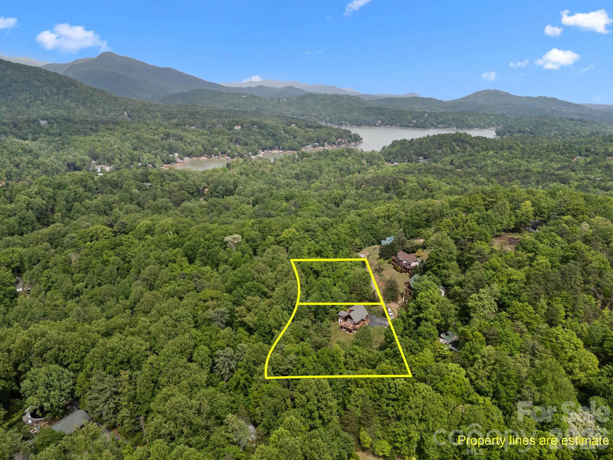 173 Mistletoe Park Lake Lure NC 28746