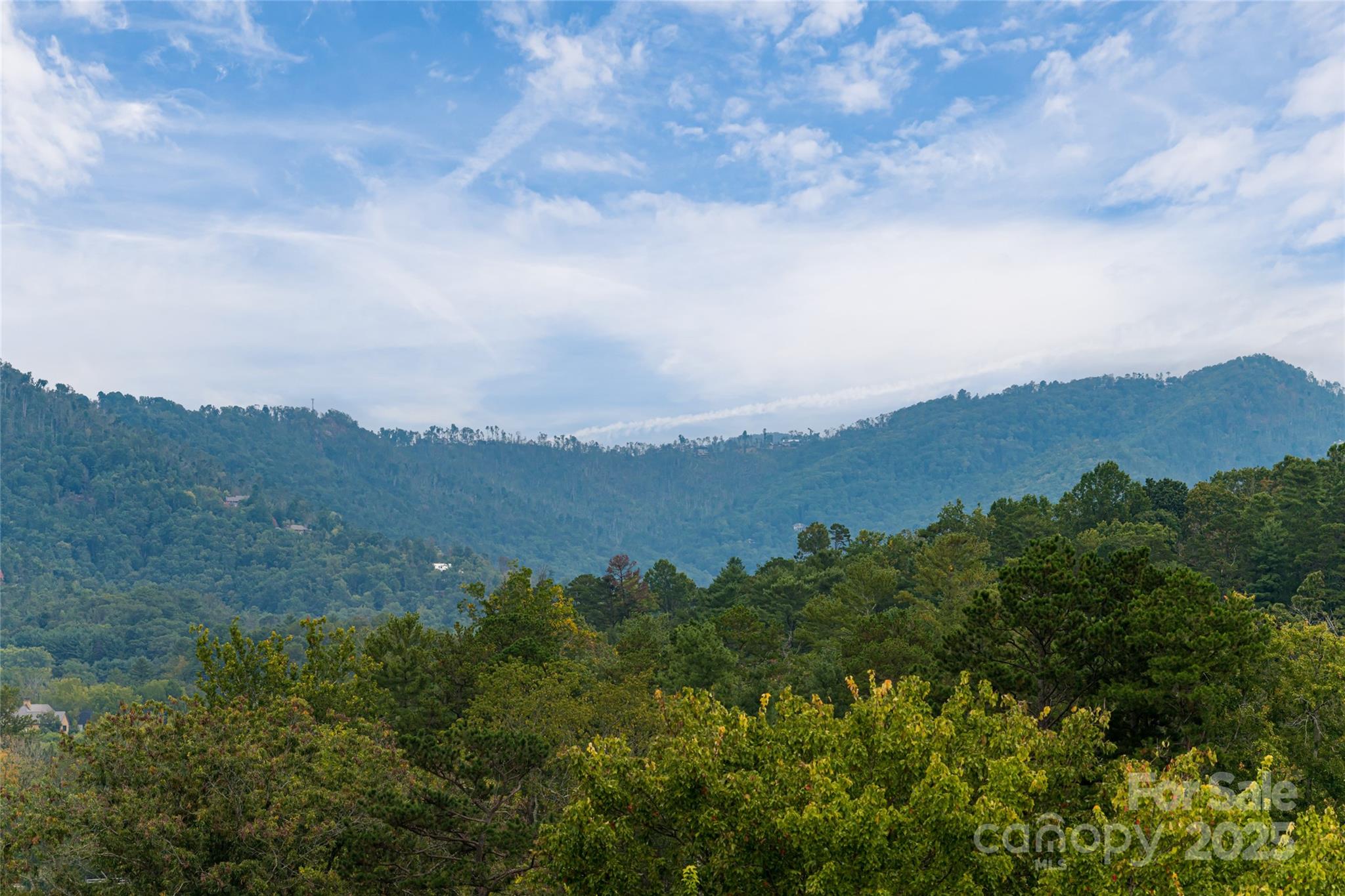 79 Culvern Street Asheville NC 28804