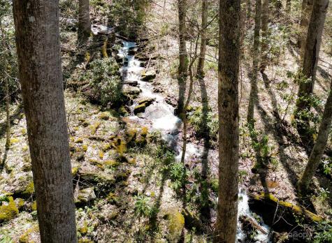 31 Thrush Drive Maggie Valley NC 28751
