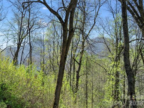79 Ward Road Maggie Valley NC 28751