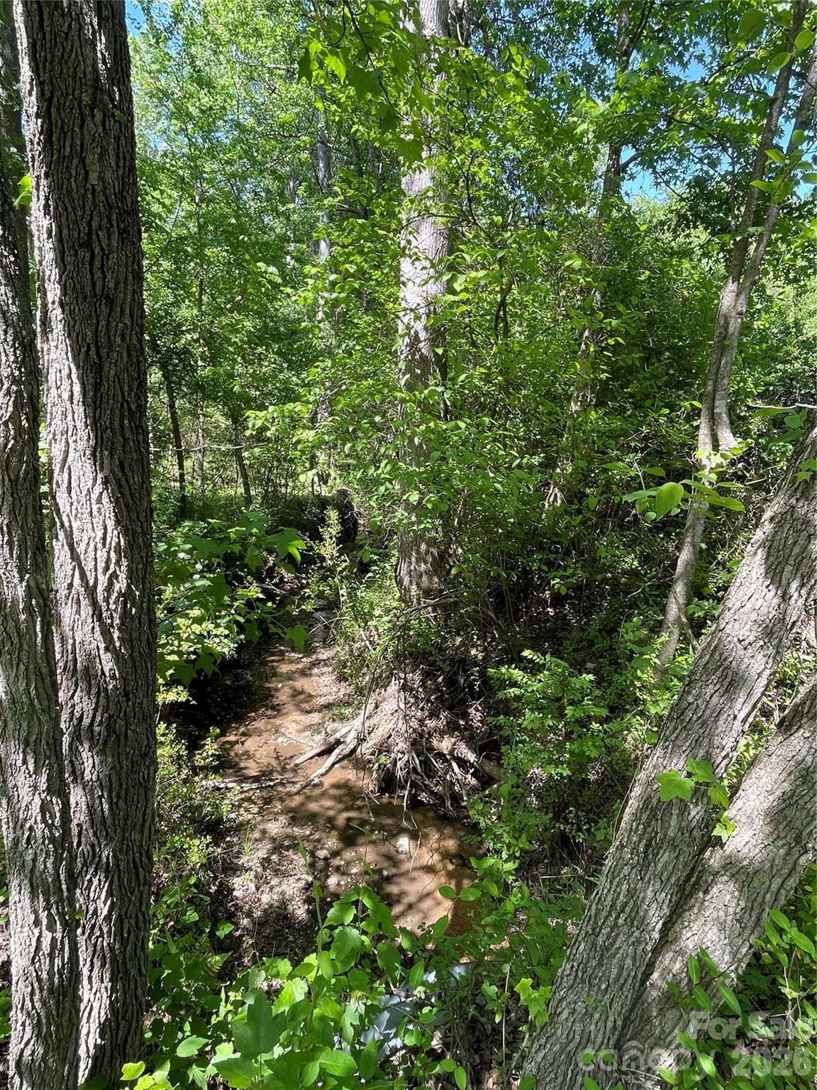2031 Redskin Trail Iron Station NC 28080