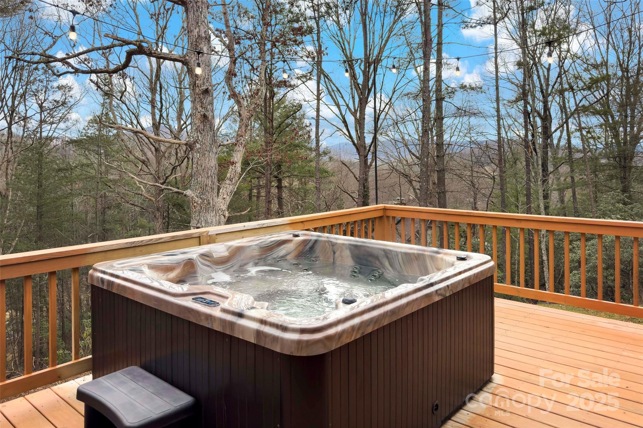 67/69 Flat Top Mountain Road Fairview NC 28730