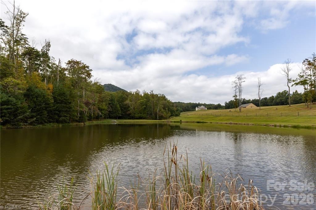 204 Violet Ridge Lowgap NC 27024