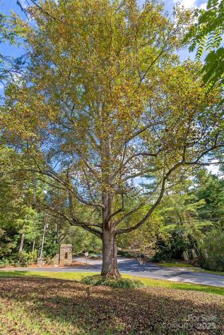 91 Haw Creek Circle Asheville NC 28805