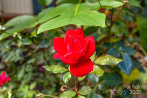 91 Haw Creek Circle Asheville NC 28805