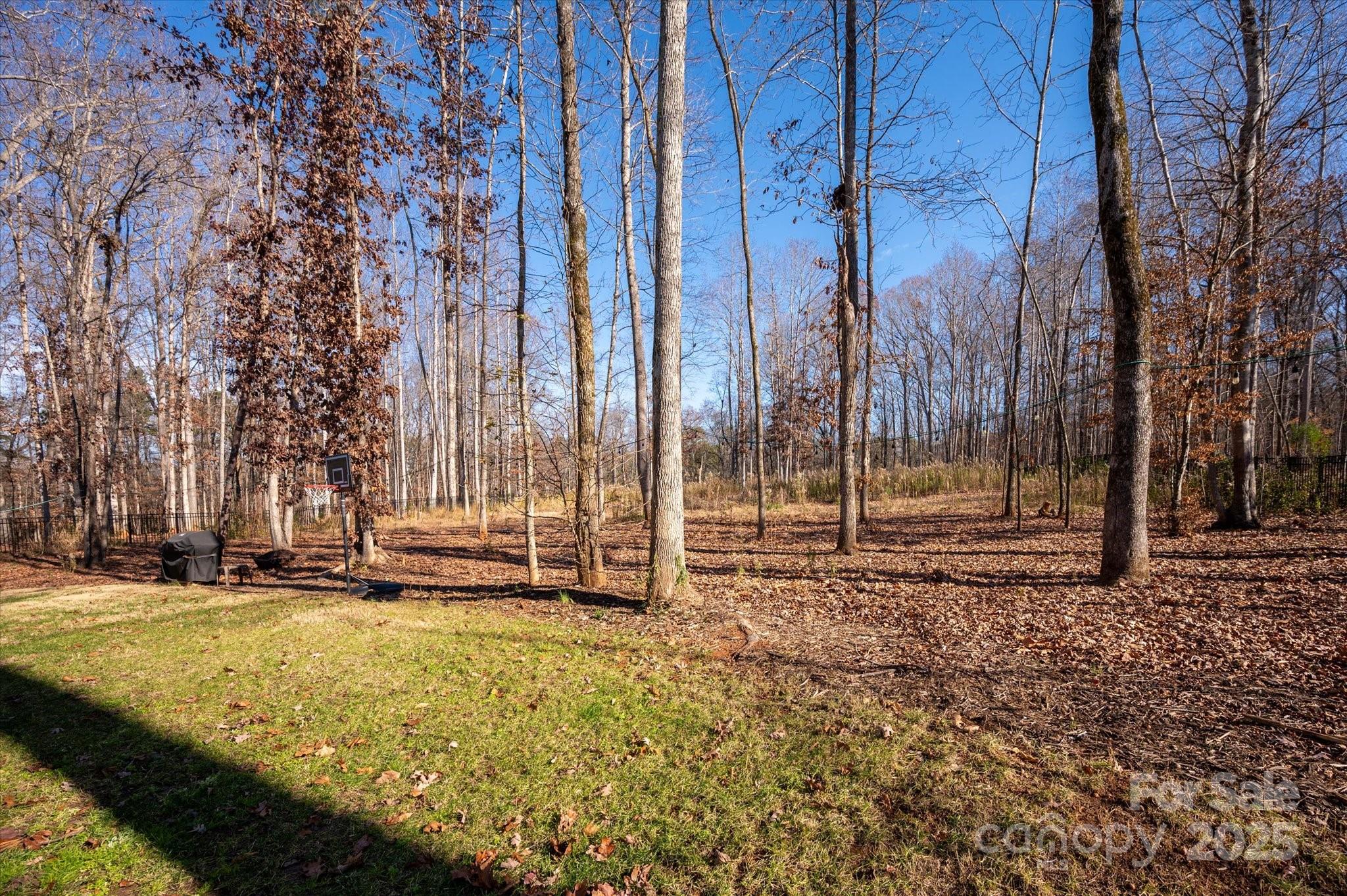 13017 Cinnamon Fern Lane Mint Hill NC 28227