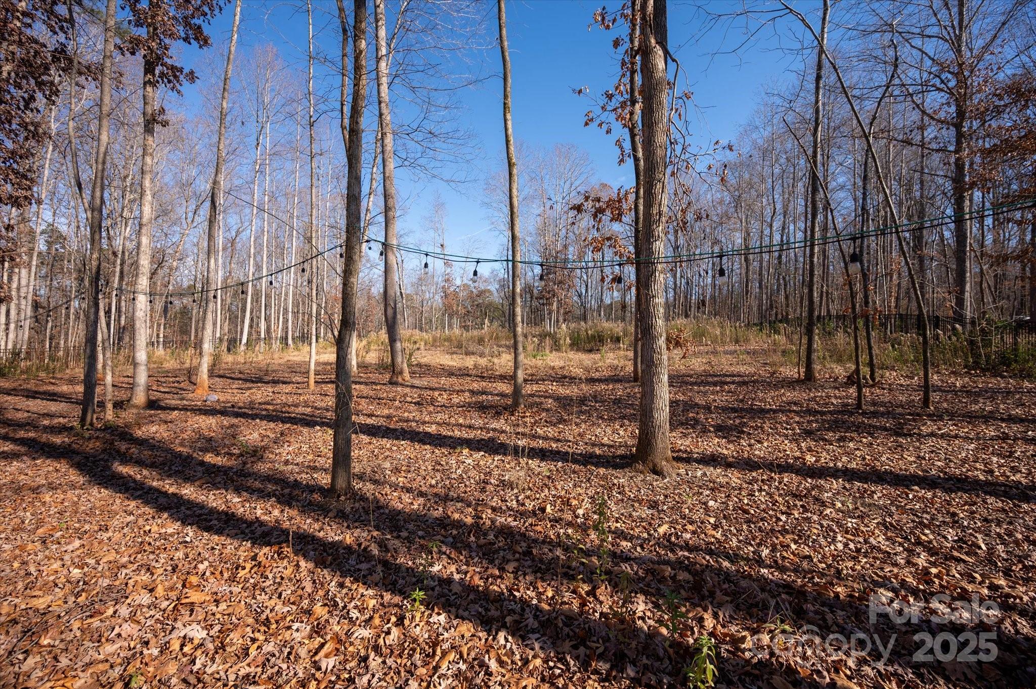 13017 Cinnamon Fern Lane Mint Hill NC 28227