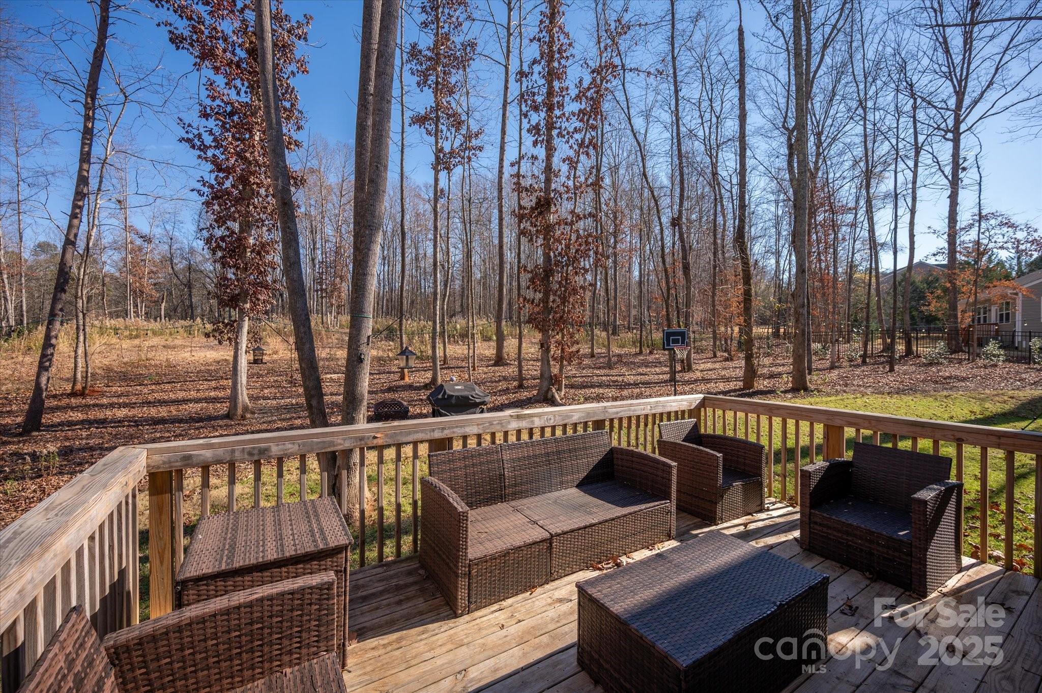 13017 Cinnamon Fern Lane Mint Hill NC 28227