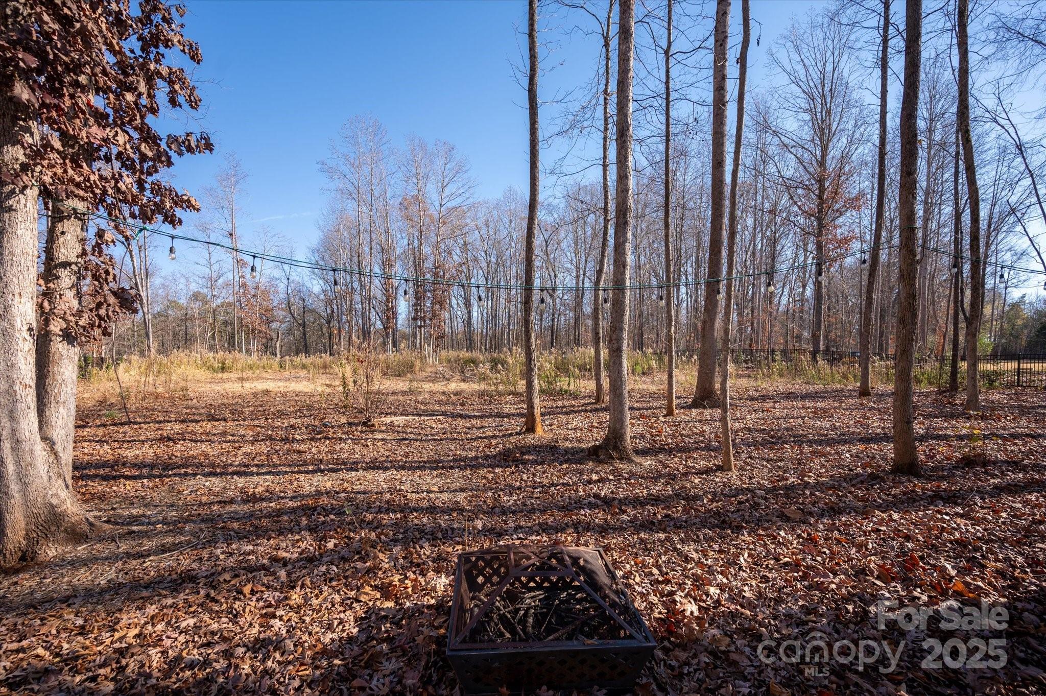 13017 Cinnamon Fern Lane Mint Hill NC 28227