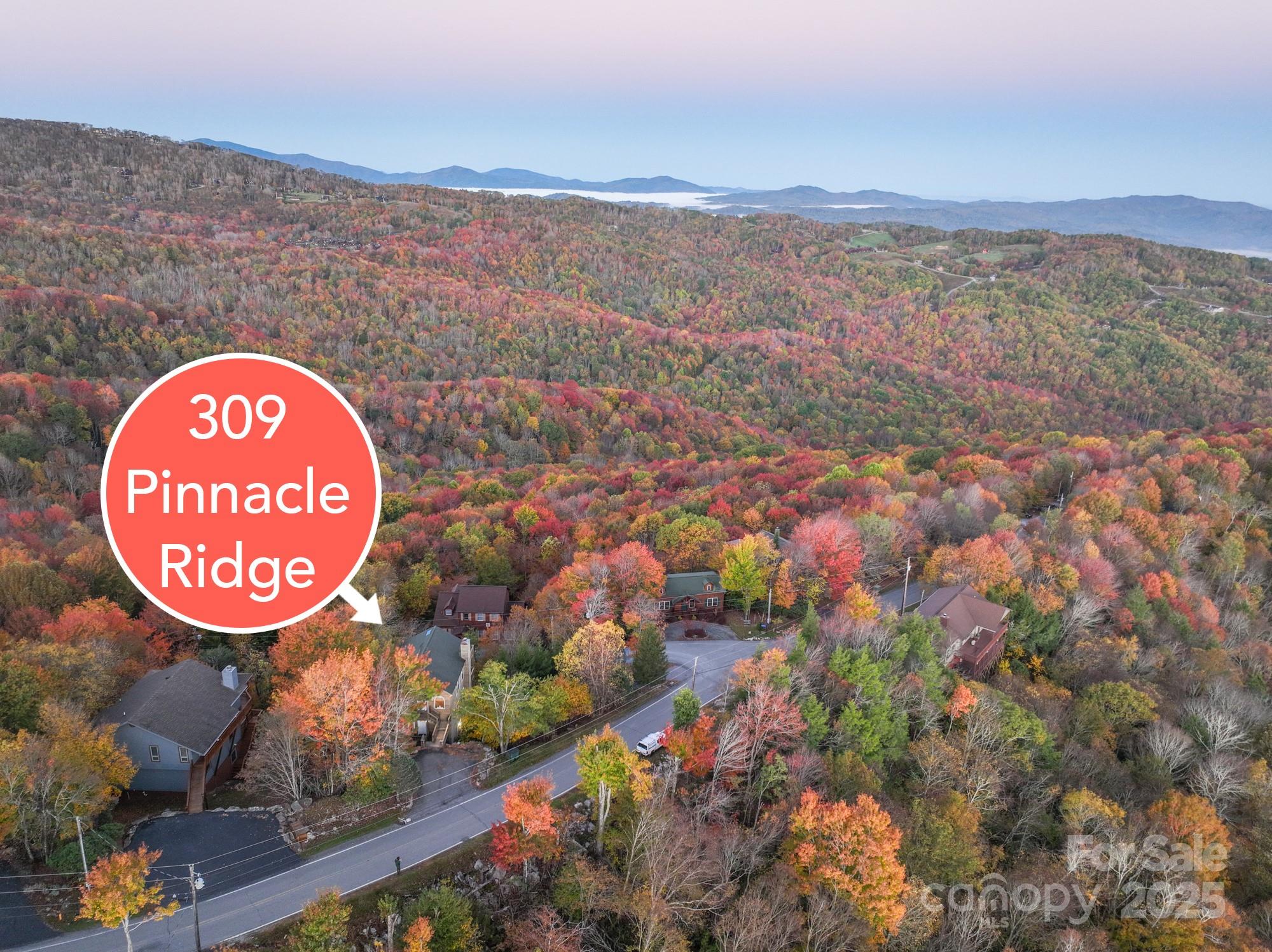 309 Pinnacle Ridge Road Beech Mountain NC 28604