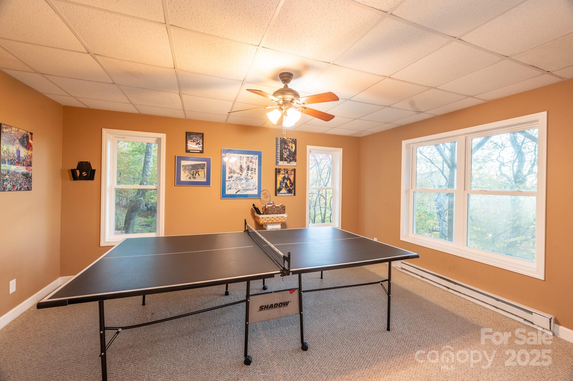 309 Pinnacle Ridge Road Beech Mountain NC 28604