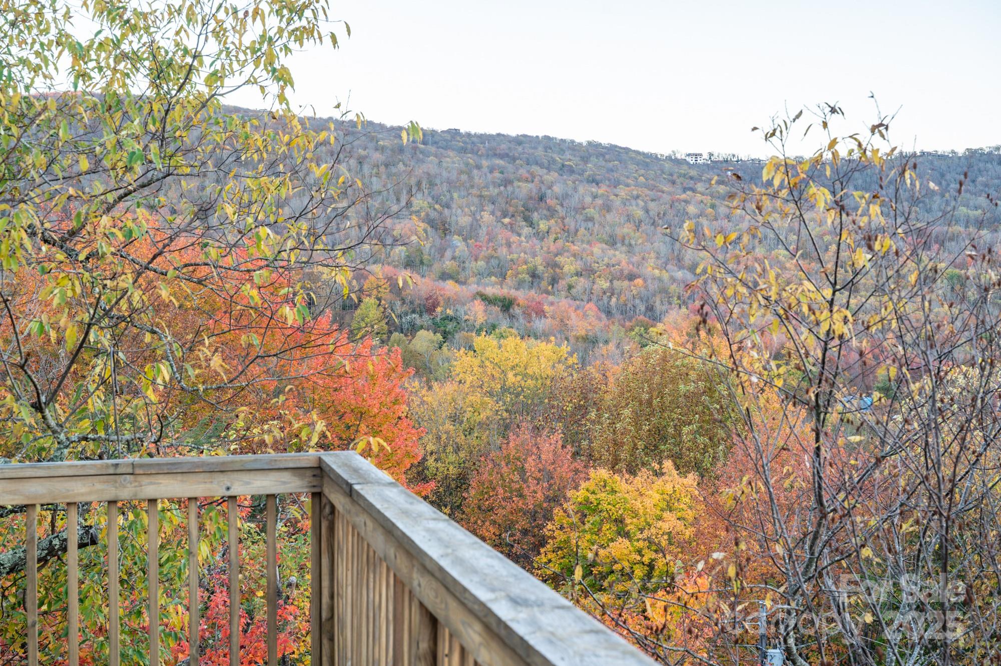 309 Pinnacle Ridge Road Beech Mountain NC 28604