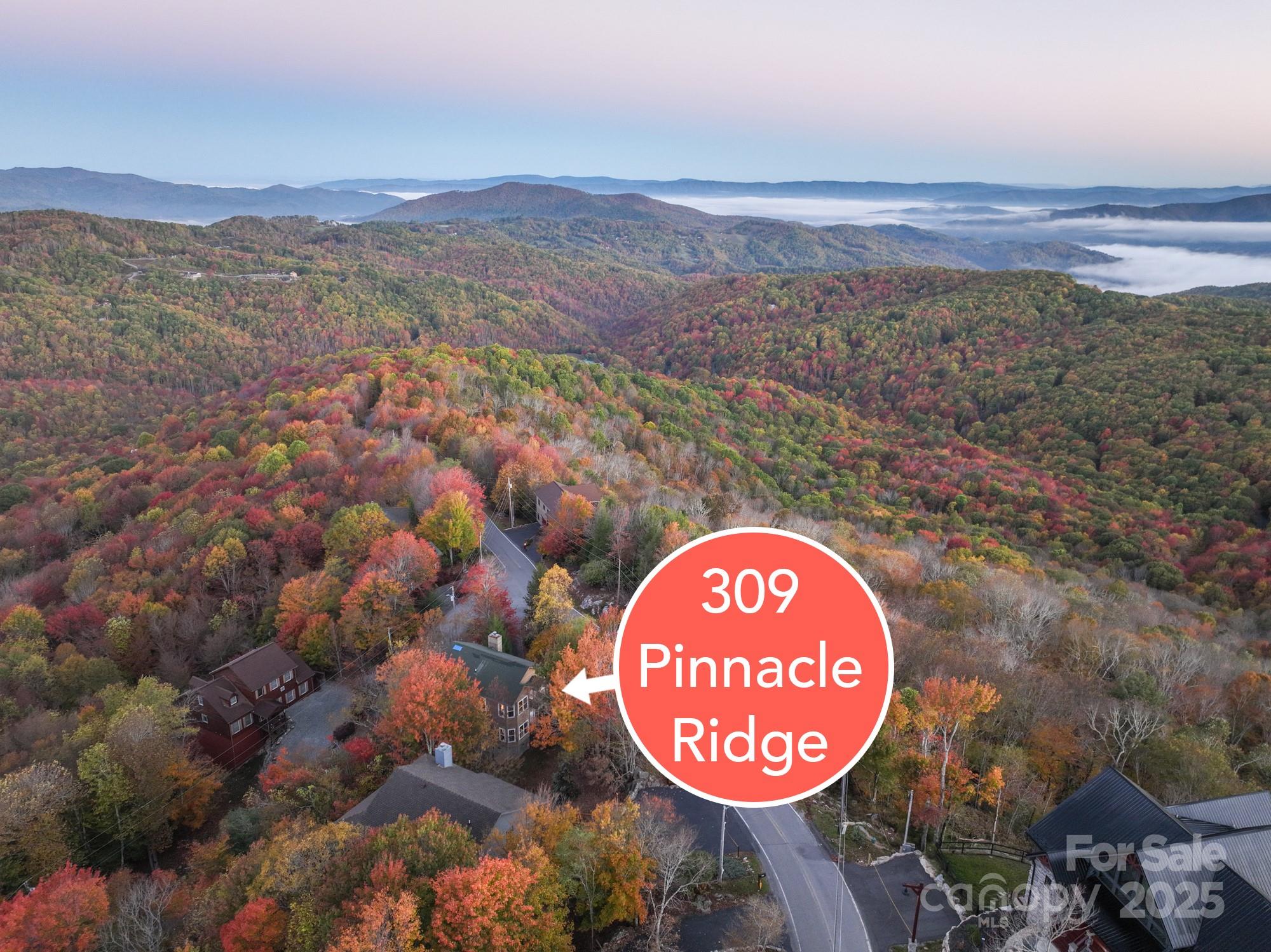 309 Pinnacle Ridge Road Beech Mountain NC 28604