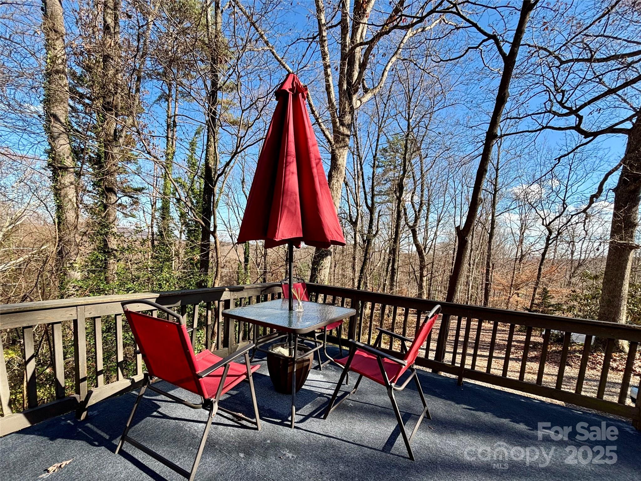 629 Vineyard Road Tryon NC 28782