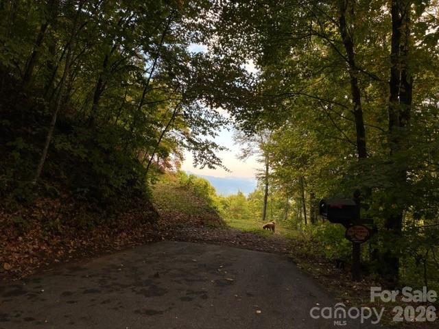 105 Dotsu Trail Maggie Valley NC 28751