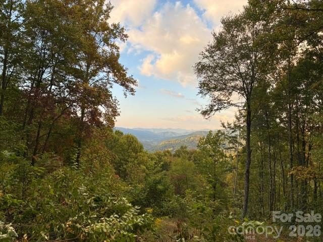 105 Dotsu Trail Maggie Valley NC 28751