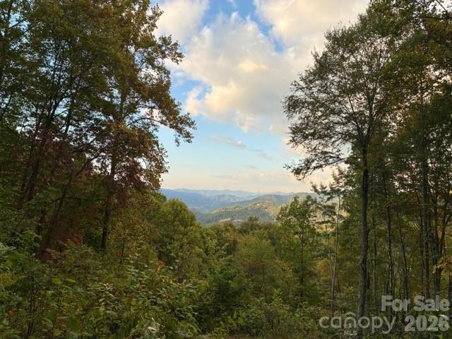 105 Dotsu Trail Maggie Valley NC 28751