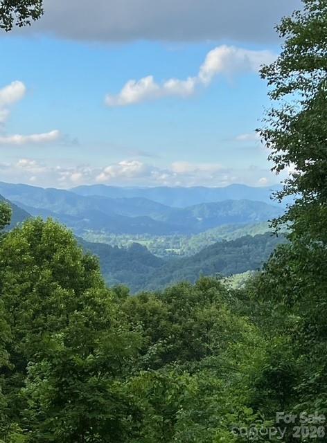 105 Dotsu Trail Maggie Valley NC 28751