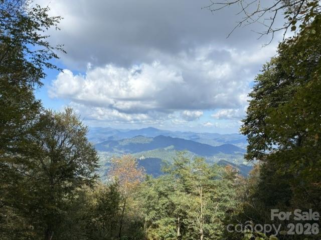 105 Dotsu Trail Maggie Valley NC 28751