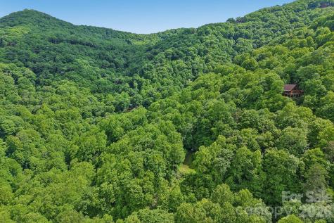 105 Dotsu Trail Maggie Valley NC 28751