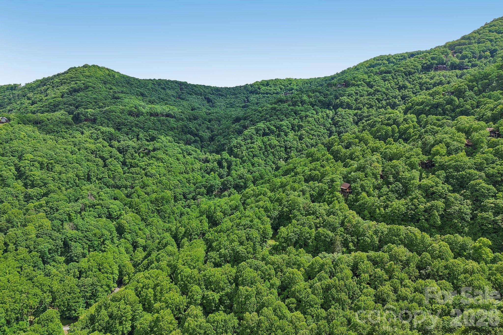 105 Dotsu Trail Maggie Valley NC 28751