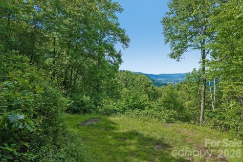 105 Dotsu Trail Maggie Valley NC 28751